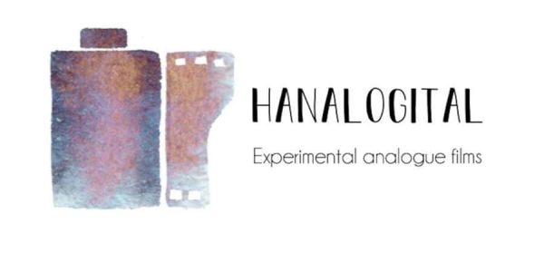hanalogital logo