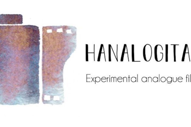 hanalogital logo