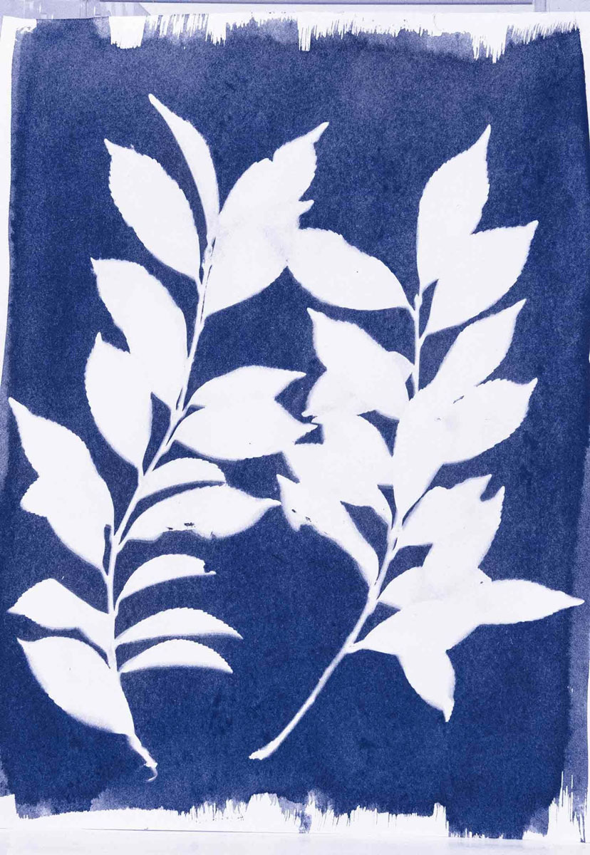 Jacquard cyanotype pretreated fabric sheets cianotipia