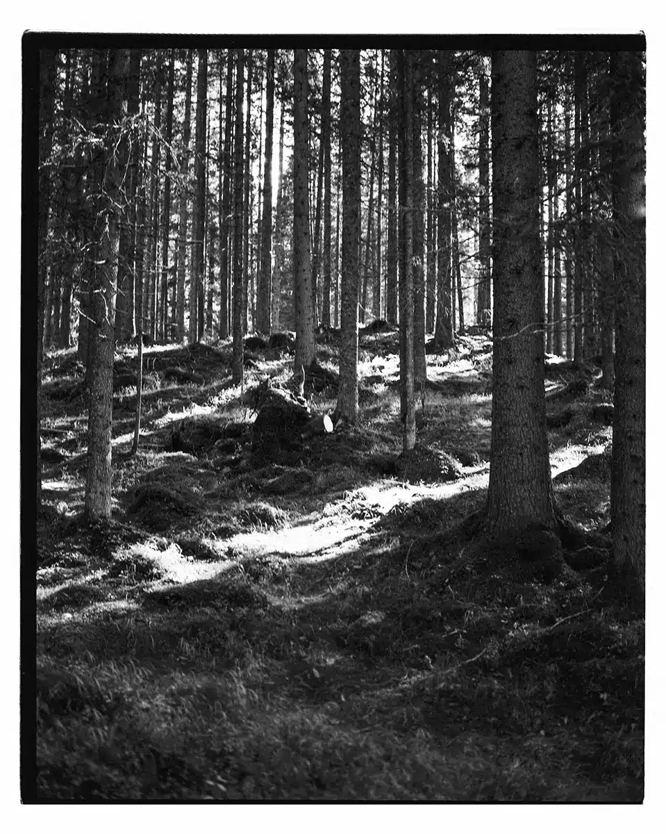 Analogheld TBD 100 black and white 120 film REVELAB Studio
