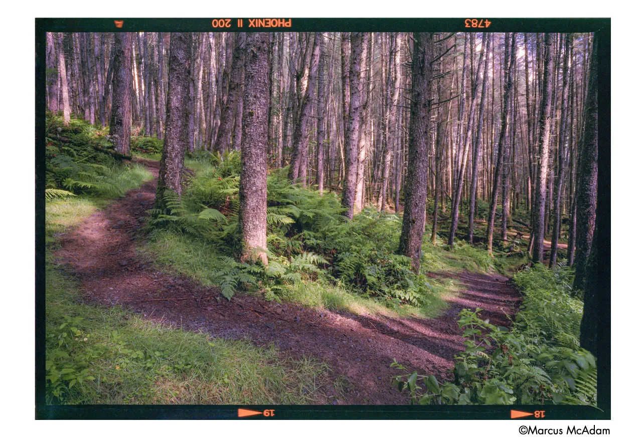 Ejemplo de resultados de paisaje en exteriores con la pelicula Harman Phoenix II 120